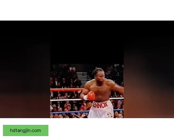 刘易斯对决图阿二战重燃火焰重拳之夜巅峰再临格斗传奇硬碰硬 刘易斯对决图阿二战重燃火焰重拳之夜巅峰再临格斗传奇硬碰硬